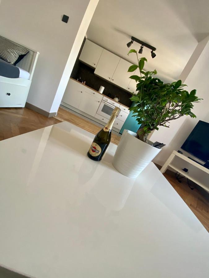 Apartamenty Pod Zabami Nr 2 Bielsko-Biała Ngoại thất bức ảnh